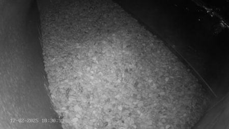 Sussex Heights Peregrine Falcons Webcam Image 17 Feb 2025 18:30:38