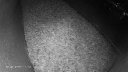 Sussex Heights Peregrine Falcons Webcam Image 17 Feb 2025 19:30:38