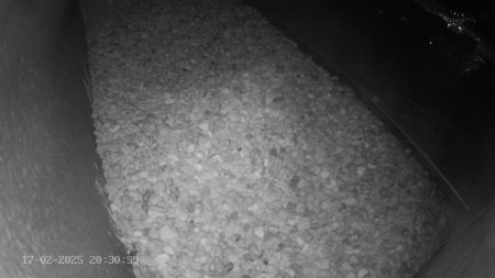 Sussex Heights Peregrine Falcons Webcam Image 17 Feb 2025 20:30:38