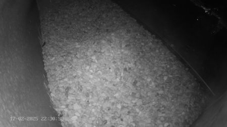 Sussex Heights Peregrine Falcons Webcam Image 17 Feb 2025 22:30:38