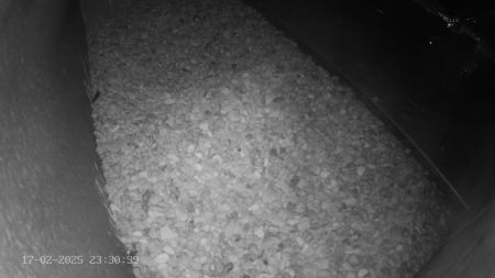 Sussex Heights Peregrine Falcons Webcam Image 17 Feb 2025 23:30:38