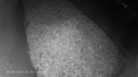 Sussex Heights Peregrine Falcons Webcam Image 18 Feb 2025 01:30:38