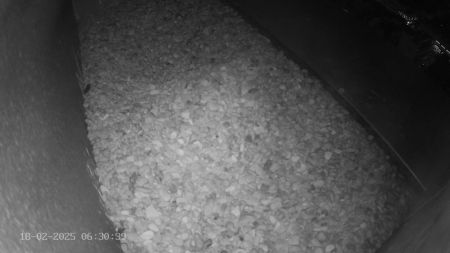 Sussex Heights Peregrine Falcons Webcam Image 18 Feb 2025 06:30:38