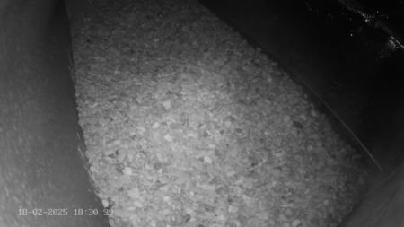 Sussex Heights Peregrine Falcons Webcam Image 18 Feb 2025 18:30:38