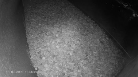 Sussex Heights Peregrine Falcons Webcam Image 18 Feb 2025 19:30:38