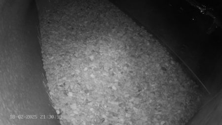 Sussex Heights Peregrine Falcons Webcam Image 18 Feb 2025 21:30:38