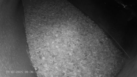 Sussex Heights Peregrine Falcons Webcam Image 19 Feb 2025 00:30:38