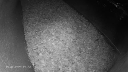 Sussex Heights Peregrine Falcons Webcam Image 19 Feb 2025 20:30:38