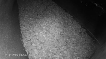 Sussex Heights Peregrine Falcons Webcam Image 19 Feb 2025 23:30:38