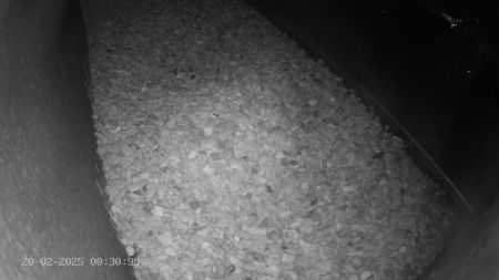 Sussex Heights Peregrine Falcons Webcam Image 20 Feb 2025 00:30:38