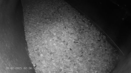 Sussex Heights Peregrine Falcons Webcam Image 20 Feb 2025 02:30:38