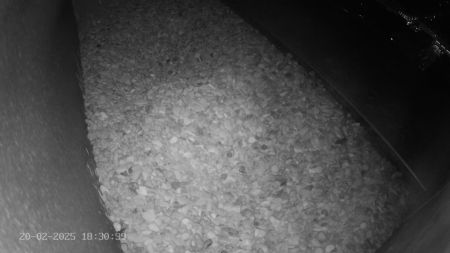 Sussex Heights Peregrine Falcons Webcam Image 20 Feb 2025 18:30:38