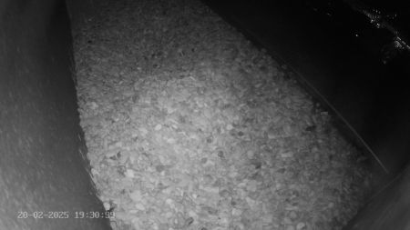 Sussex Heights Peregrine Falcons Webcam Image 20 Feb 2025 19:30:38