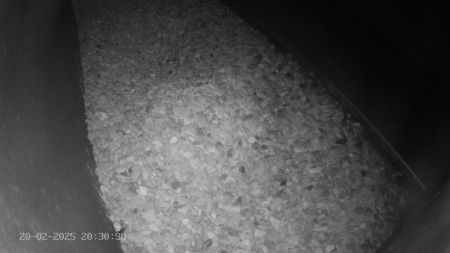 Sussex Heights Peregrine Falcons Webcam Image 20 Feb 2025 20:30:38