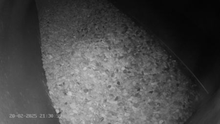 Sussex Heights Peregrine Falcons Webcam Image 20 Feb 2025 21:30:38