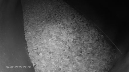 Sussex Heights Peregrine Falcons Webcam Image 20 Feb 2025 22:30:38