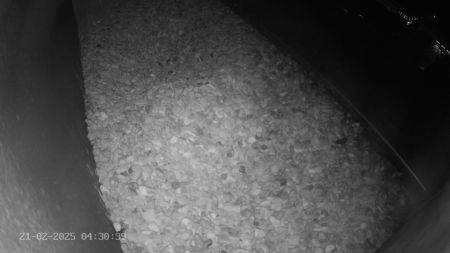 Sussex Heights Peregrine Falcons Webcam Image 21 Feb 2025 04:30:38