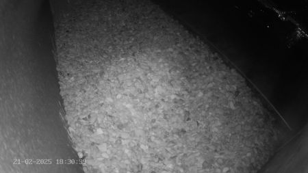 Sussex Heights Peregrine Falcons Webcam Image 21 Feb 2025 18:30:38