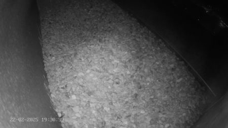 Sussex Heights Peregrine Falcons Webcam Image 22 Feb 2025 19:30:38