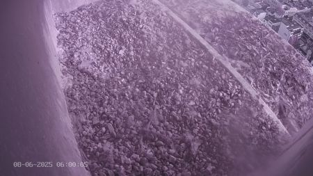 Sussex Heights Peregrine Falcons Webcam Image 8 Jun 2025 06:00:04