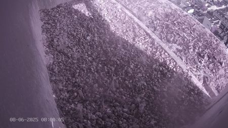 Sussex Heights Peregrine Falcons Webcam Image 8 Jun 2025 08:00:04