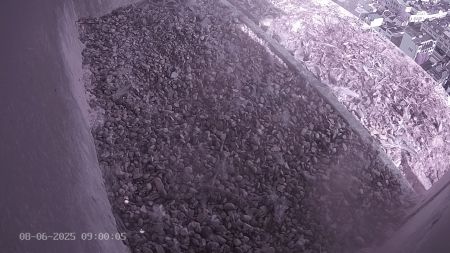 Sussex Heights Peregrine Falcons Webcam Image 8 Jun 2025 09:00:04
