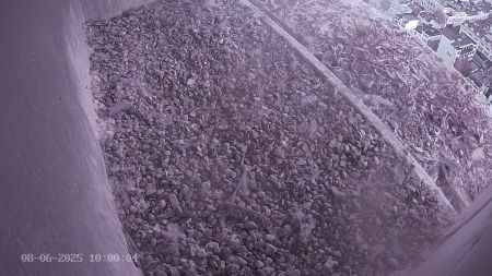 Sussex Heights Peregrine Falcons Webcam Image 8 Jun 2025 10:00:04