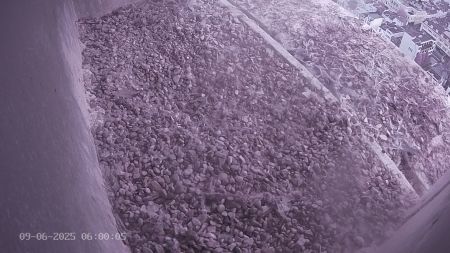 Sussex Heights Peregrine Falcons Webcam Image 9 Jun 2025 06:00:04