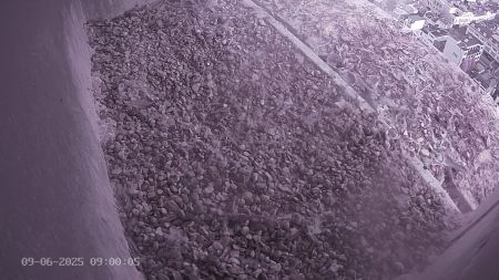 Sussex Heights Peregrine Falcons Webcam Image 9 Jun 2025 09:00:04