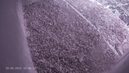 Sussex Heights Peregrine Falcons Webcam Image 10 Jun 2025 10:00:04