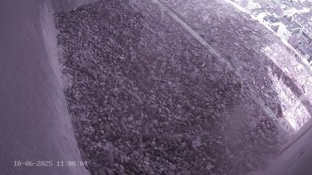 Sussex Heights Peregrine Falcons Webcam Image 10 Jun 2025 11:00:04