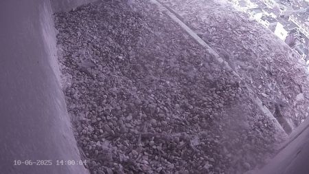 Sussex Heights Peregrine Falcons Webcam Image 10 Jun 2025 14:00:04