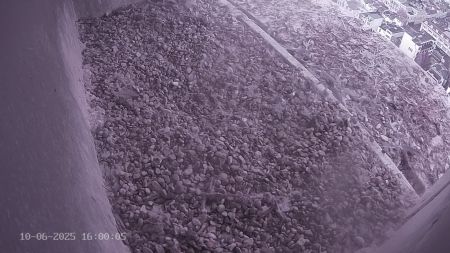 Sussex Heights Peregrine Falcons Webcam Image 10 Jun 2025 16:00:04