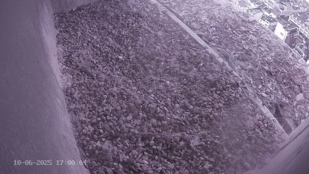 Sussex Heights Peregrine Falcons Webcam Image 10 Jun 2025 17:00:04