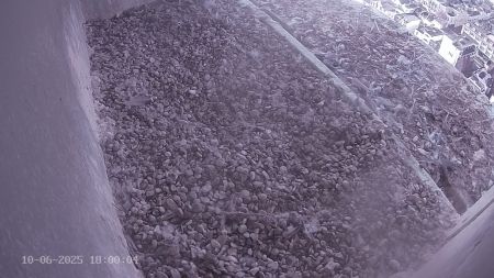 Sussex Heights Peregrine Falcons Webcam Image 10 Jun 2025 18:00:04