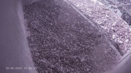 Sussex Heights Peregrine Falcons Webcam Image 10 Jun 2025 19:00:04