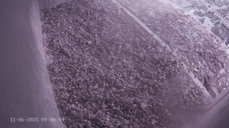 Sussex Heights Peregrine Falcons Webcam Image 11 Jun 2025 09:00:04