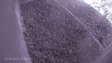 Sussex Heights Peregrine Falcons Webcam Image 11 Jun 2025 14:00:04