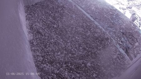 Sussex Heights Peregrine Falcons Webcam Image 11 Jun 2025 15:00:04