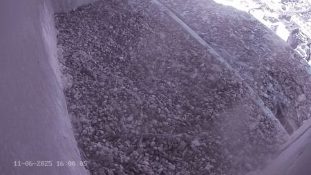 Sussex Heights Peregrine Falcons Webcam Image 11 Jun 2025 16:00:04