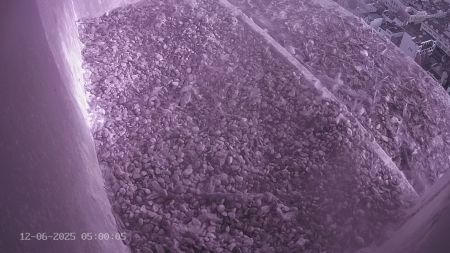 Sussex Heights Peregrine Falcons Webcam Image 12 Jun 2025 05:00:04