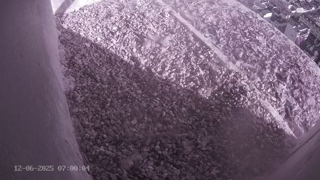 Sussex Heights Peregrine Falcons Webcam Image 12 Jun 2025 07:00:04