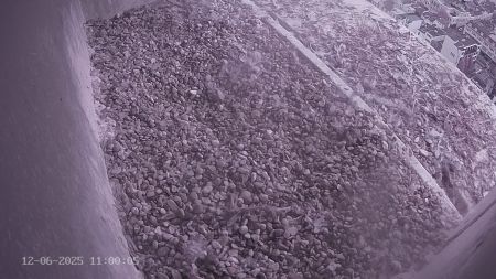 Sussex Heights Peregrine Falcons Webcam Image 12 Jun 2025 11:00:04