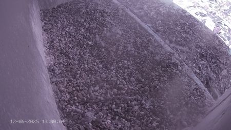 Sussex Heights Peregrine Falcons Webcam Image 12 Jun 2025 13:00:04