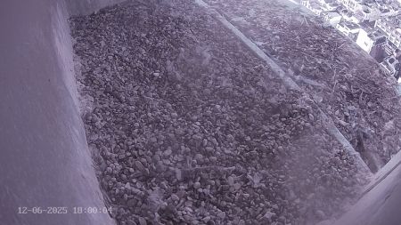 Sussex Heights Peregrine Falcons Webcam Image 12 Jun 2025 18:00:04
