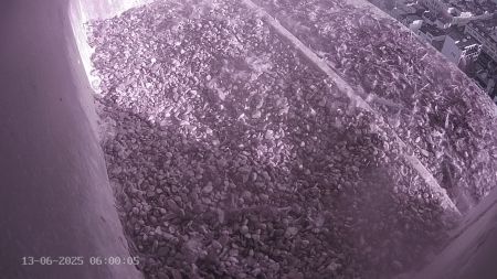 Sussex Heights Peregrine Falcons Webcam Image 13 Jun 2025 06:00:04