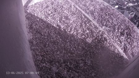 Sussex Heights Peregrine Falcons Webcam Image 13 Jun 2025 07:00:04