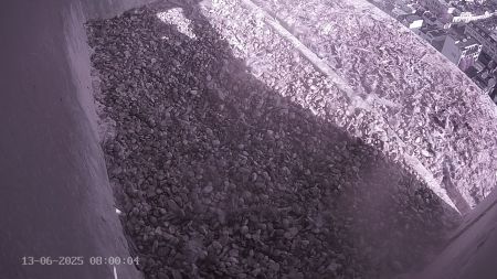 Sussex Heights Peregrine Falcons Webcam Image 13 Jun 2025 08:00:04