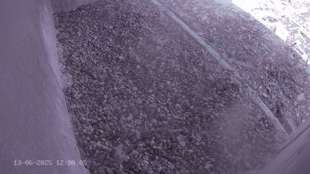 Sussex Heights Peregrine Falcons Webcam Image 13 Jun 2025 12:00:04