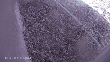 Sussex Heights Peregrine Falcons Webcam Image 13 Jun 2025 13:00:04